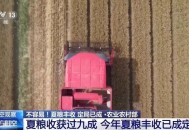 全国夏粮收获过九成 这场丰收保卫战是如何打赢的？