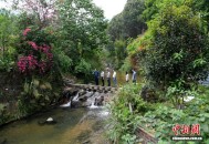 （乡村行·看振兴）“厅官”回村当“义工书记”：闽南小山村的逆袭路